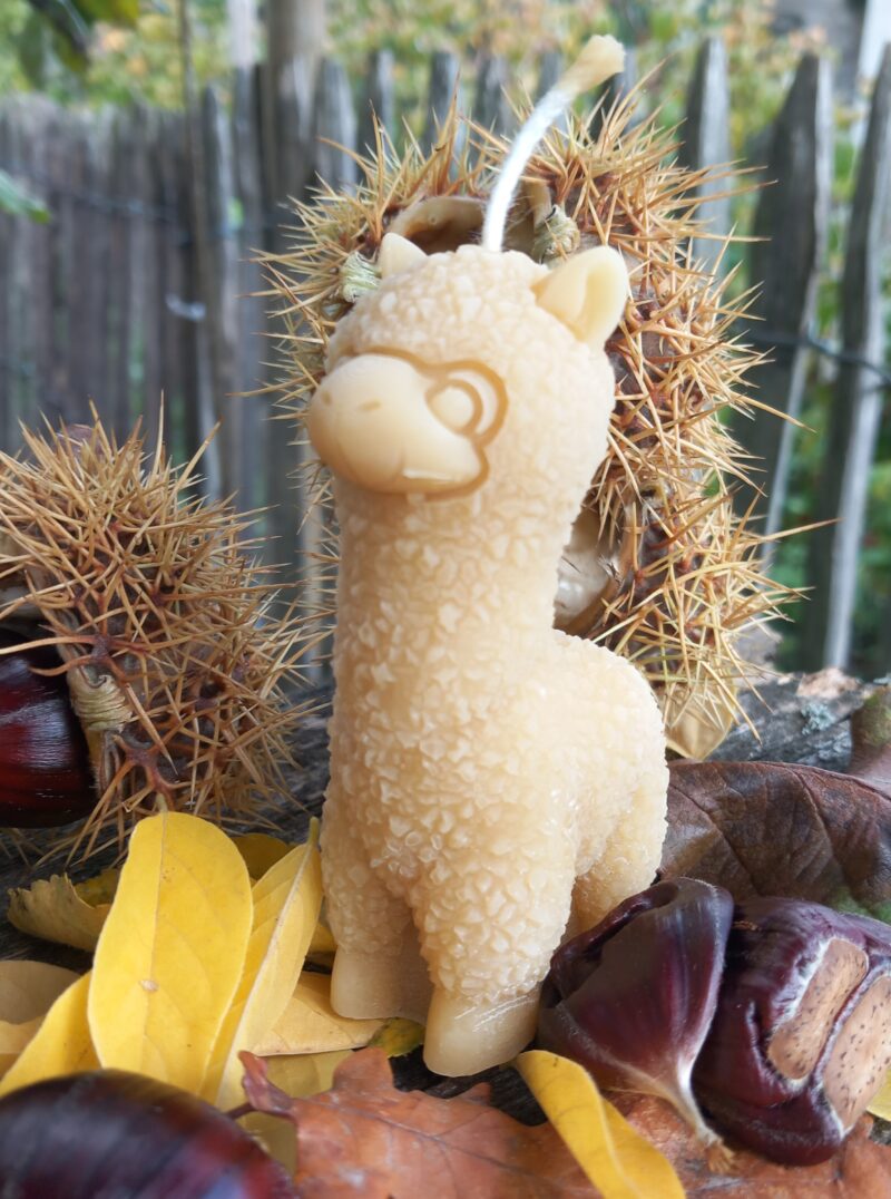 Kaars alpaca